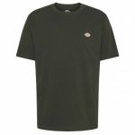 Dickies T-Shirt Mapleton Verde S - DK0A4XDB-OGX-S