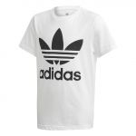 Adidas T-Shirt Sarah Branco 11 / 12 A - DV2904-11 / 12 A