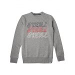 O'neill Camisola All Year Crew Silver Melee Jungen 176