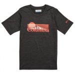 Columbia T-Shirt Menino Mount Echo Short Sleeve Graphic Shirt Cinza 8 A