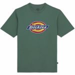 Dickies Icon - S - DK0A4XC9-H15-S