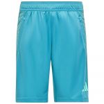 Adidas Ti Heath Shorts Azul 15-16 Anos