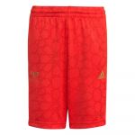 Adidas Salah Shorts Vermelho 11-12 Anos