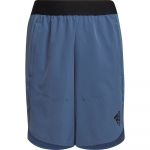 Adidas Designed For Sport Aeroready Shorts Azul 11-12 Anos