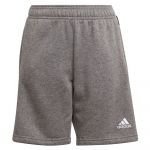 Adidas Tiro 21 Shorts Cinzento 7-8 Anos