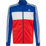 Adidas Essentials Track Suit Azul 3-4 Anos