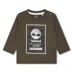 Timberland T60006 Short Sleeve T-shirt Verde 18 Meses