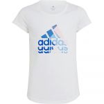 Adidas Bl Gt Short Sleeve T-shirt Branco 11-12 Anos