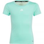 Adidas Tf Short Sleeve T-shirt Verde 9-10 Anos