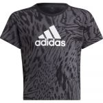 Adidas Future Icons Hybrid Animal Print Cotton Regular Short Sleeve T-shirt Cinzento 7-8 Anos