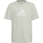 Adidas Future Icons Badge Of Sport Logo Short Sleeve T-shirt Verde 9-10 Anos