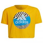 Adidas Pw Ar Short Sleeve T-shirt Amarelo 11-12 Anos