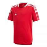 Adidas Tiro 21 Training Short Sleeve T-shirt Vermelho 15-16 Anos