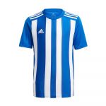 Adidas Striped 21 Short Sleeve T-shirt Azul 5-6 Anos