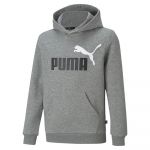Puma Essentials+ 2 Col Big Logo Fl Sweatshirt Cinzento 3-4 Anos
