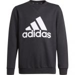 Adidas Essentials Sweatshirt Preto 5-6 Anos