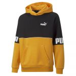 Puma Power Colorblock Fl Sweatshirt Amarelo 3-4 Anos