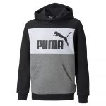Puma Essentials+ Colorblock Fl Sweatshirt Cinzento 9-10 Anos