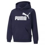 Puma Essentials Big Logo Fl Sweatshirt Azul 5-6 Anos