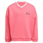 Adidas Lg Dy Cpo Sweatshirt Rosa 3-4 Anos