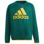 Adidas Bl Sweatshirt Verde 5-6 Anos