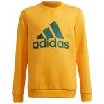 Adidas Bl Sweatshirt Amarelo 7-8 Anos