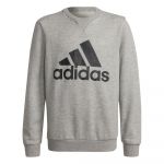Adidas Essentials Sweatshirt Cinzento 3-4 Anos