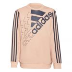 Adidas Logo Sweatshirt Laranja 5-6 Anos