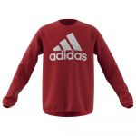 Adidas Designed To Move Big Logo Sweatshirt Vermelho 5-6 Anos