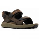Columbia Trailstorm(TM) Hiker 3 Sandals Castanho EU 40 Homem