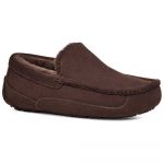 Ugg Ascot Slippers Castanho EU 40 Homem