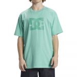 Dc Shoes Dcstar Pigment Short Sleeve T-shirt Verde L Homem