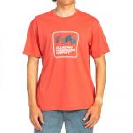 Billabong Swell Short Sleeve T-shirt Laranja S Homem