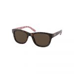 Óculos de Sol Polo Ralph Lauren Pp9501-593673 Sunglasses Castanho Brown Homem