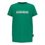 Napapijri S-box 2 Short Sleeve T-shirt Verde 16 Years Rapaz