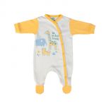 FS Baby Organic Babygrow - 15611