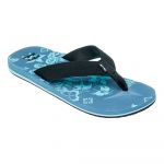 Billabong Chinelos All Day Theme Blue Fog 46