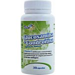 Vita Glucosamina + Condroitina 30 Cápsulas