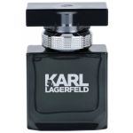 Karl Lagerfeld for Him Eau de Toilette 100ml (Original)