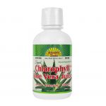Dynamic Health Chlorophyll Aloe Vera Juice 473ml