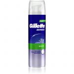 Gillette Series Espuma de Barbear Pele Sensivel 250ml