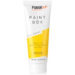 Fudge Paintbox Coloração Gold Coast 75ml