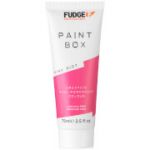 Fudge Paintbox Coloração Pink Riot 75ml