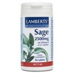 Lamberts Salvia 2500 Mg 90 Comprimidos