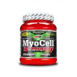 Amix Myocell 5-Phase 500g Ponche de Frutas