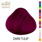 La Riché Directions Coloração Semi-permanente Dark Tulip