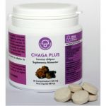 Mycology Chaga Plus 90 comprimidos