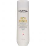 Goldwell Dualsenses Rich Repair Shampoo Renovador Cabelo Seco a Danificado 250ml