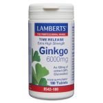 Lamberts Ginkgo 6000mg 180 comprimidos