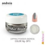 Andreia Dipping Powder Color DP11 10g